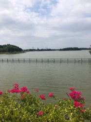 点击看大图 -云湖游乐园