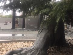 -侵华日军南京大屠杀遇难同胞纪念馆