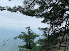 -秦岭天竺山景区