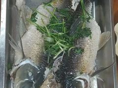 -帆荣农庄