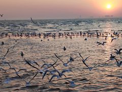 -老虎石海上公园