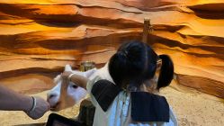 -酷嗒动物文化乐园(cutezoo西溪乐天城店)