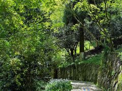 -莫干山风景区