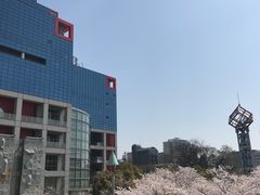 -大阪儿童乐园