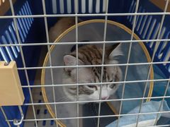 -萌兽医馆·绝育·24小时内科·宠物医院(德胜店)