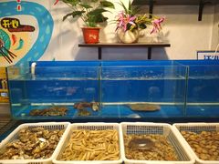 水产区-金谷园饺子·烧烤·家宴(人大总店)