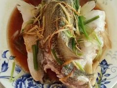 -天鹅到家·保姆月嫂育儿嫂(龙华店)