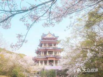 鼋头渚是春天里最梦幻的浪漫
