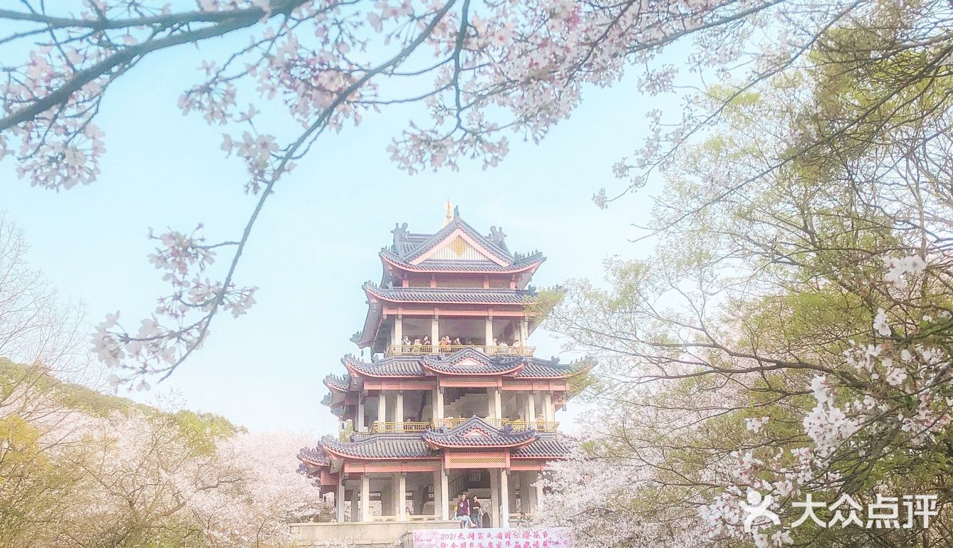 鼋头渚是春天里最梦幻的浪漫