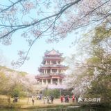 鼋头渚是春天里最梦幻的浪漫