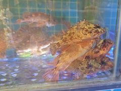 -江南村海鲜馆(洞头店)