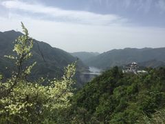 -四明山国家森林公园