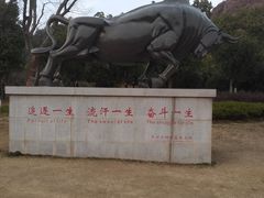 -灵岩山风景区