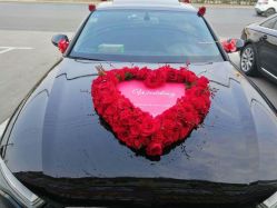 -蚂蚁婚车