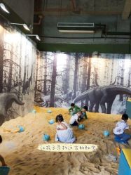 -恐龙探索乐园(磁器口店)