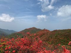 -大围山国家森林公园