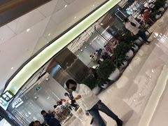 -奈雪的茶(石家庄万象城店)