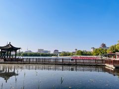-莲花池公园