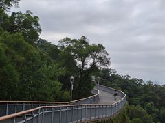 -金鸡山公园
