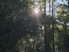-腾冲云峰山