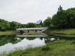 -贡湖湾湿地公园