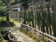 -MOJ coffee(瓯海泽雅水碓坑店)