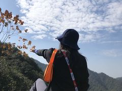-中国茶叶博物馆(双峰馆区)