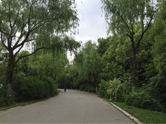 蜀岗西峰生态公园-蜀冈西峰生态公园