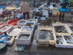 -雪绒花路停车场