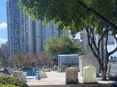 -大龙山(地铁站)