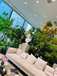 点击看大图 -MuseMarry婚纱(前海嘉里中心店)