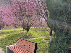 -丰台花园