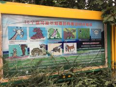 -石家庄市动物园