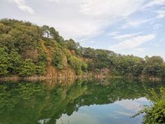 -王借岗森林公园