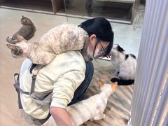 -藏猫猫咖啡主题馆(中央大道店)