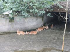 -台州府城(江南长城)
