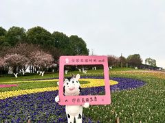 -秀丽东方