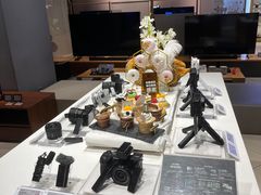 -Sony Store索尼(深圳深业上城店)