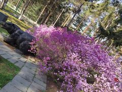 -哈尔滨北方森林动物园