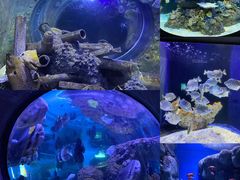 -成都浩海立方海洋公园