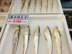 刀鱼-莆鑫海鲜城(浏河店)
