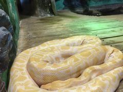 -石家庄市动物园