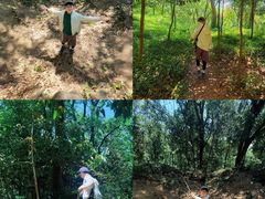 -上海佘山国家森林公园天马山园