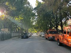 -三里屯东五街银杏大道