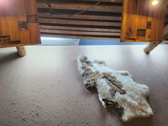 -柿子树炭烤羊腿(金台路店)