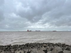 -上海滨江森林公园