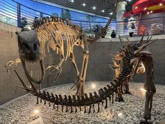 -国家自然博物馆