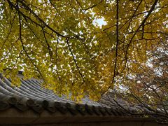 -青岛崂山太清宫