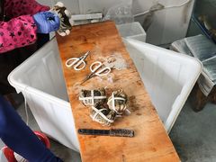 -阳澄湖大闸蟹·琼灵阁牌品牌连锁(吴中总店)