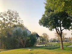 -田园东方蜜桃村的田野营地